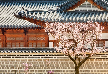 대구작명철학관 PC 이미지 1170331