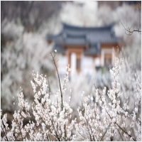 대구점집-1170327