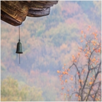 대구점집-1170330